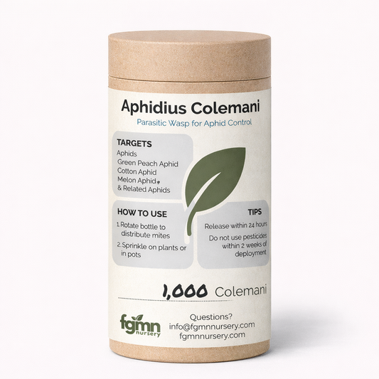 Aphidius colemani - Tampa Home & Garden Store