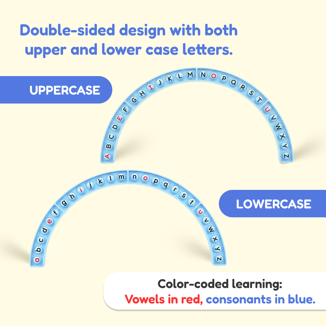 Alphabet Arc educational toy with upper and lower letters; vowels red, consonants blue on Tampa Home & Garden Store