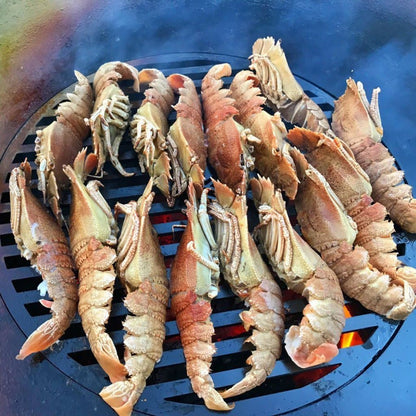 Arteflame Grill Grates - Tampa soil911.com