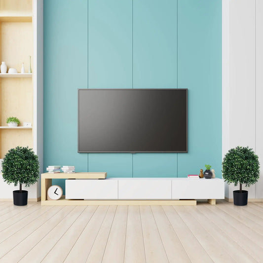 Pair of Artificial Boxwood Topiary Ball Trees with UV Leaves in black pots flanks teal wall TV setup on Tampa Home & Garden Store