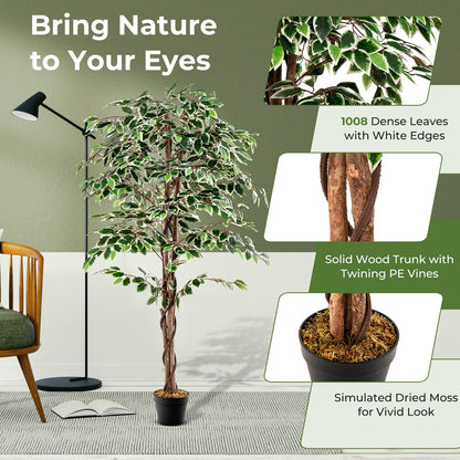 Ficus artificial alto, planta de interior sintética con 1008 hojas, maceta de vivero y musgo seco