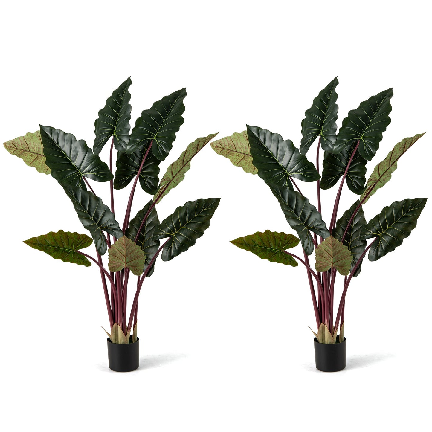 Artificial Rainbow Taro Tree 63" Tall with 11 Faux Leaves
