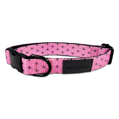 Asanoha Collar - Tampa Home & Garden Store