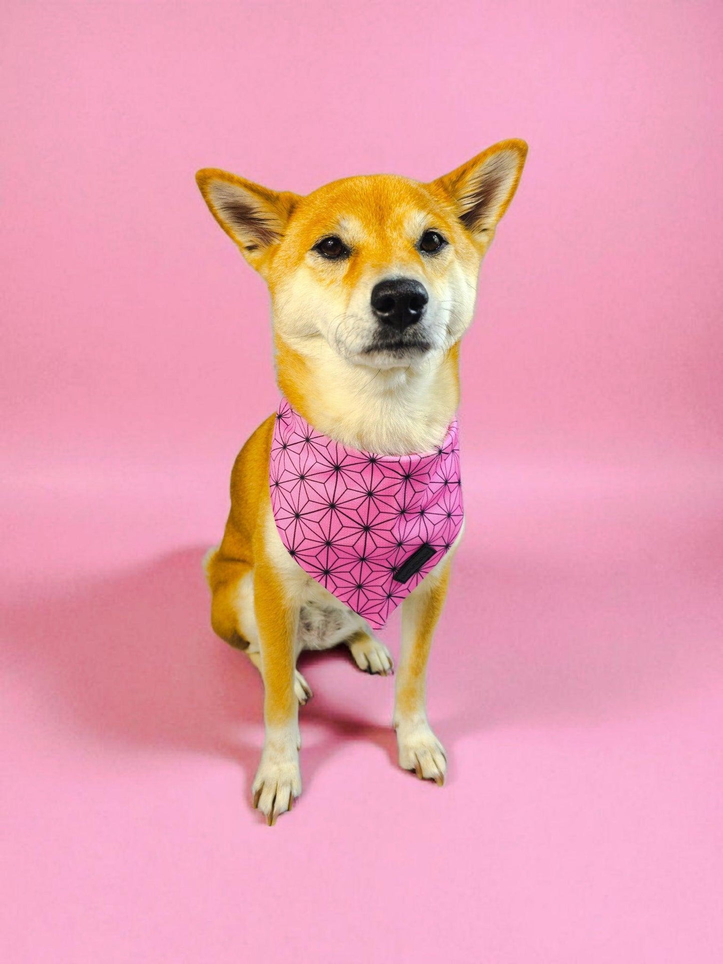 Asanoha Cooling Bandana - Tampa Home & Garden Store