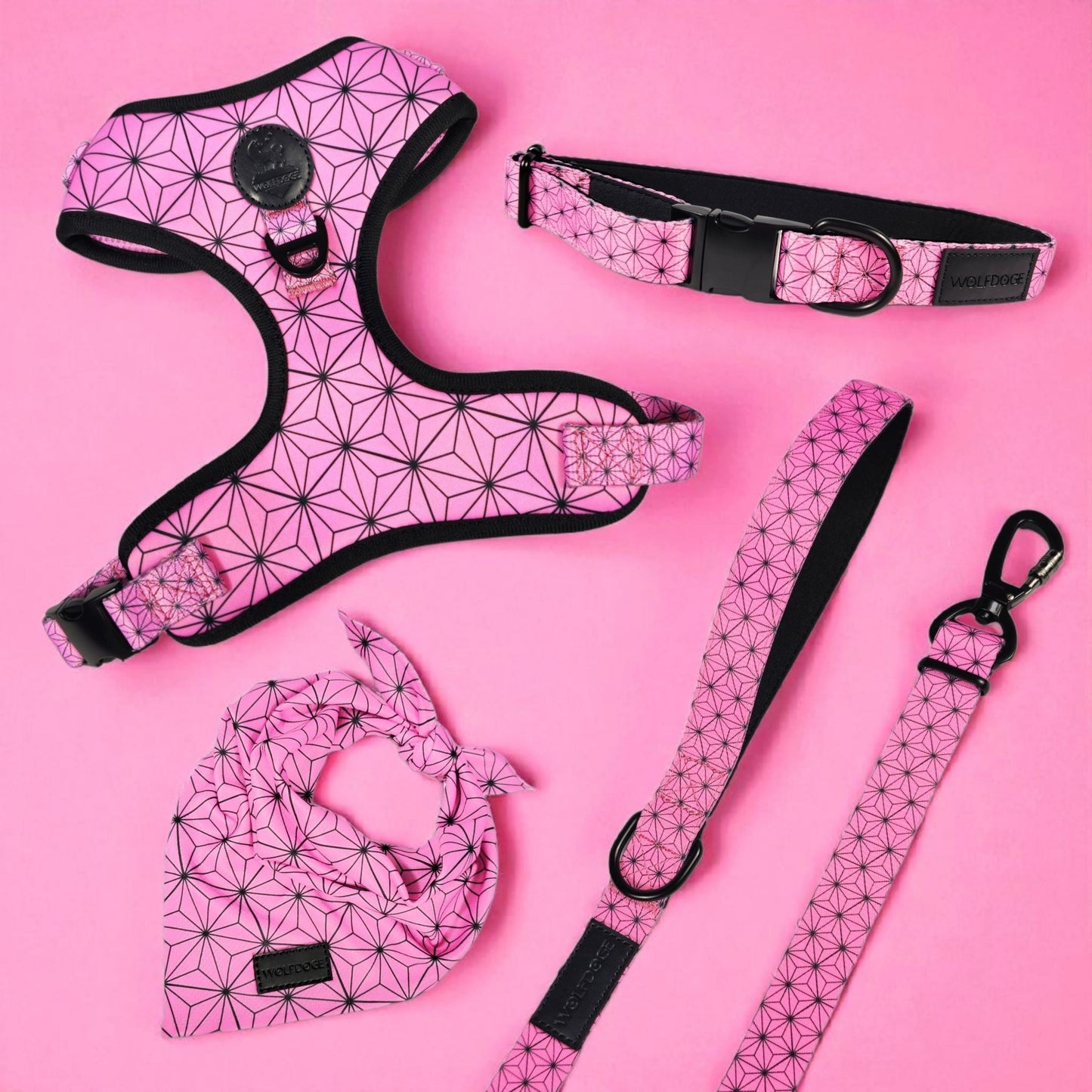 Asanoha Harness - Tampa Home & Garden Store