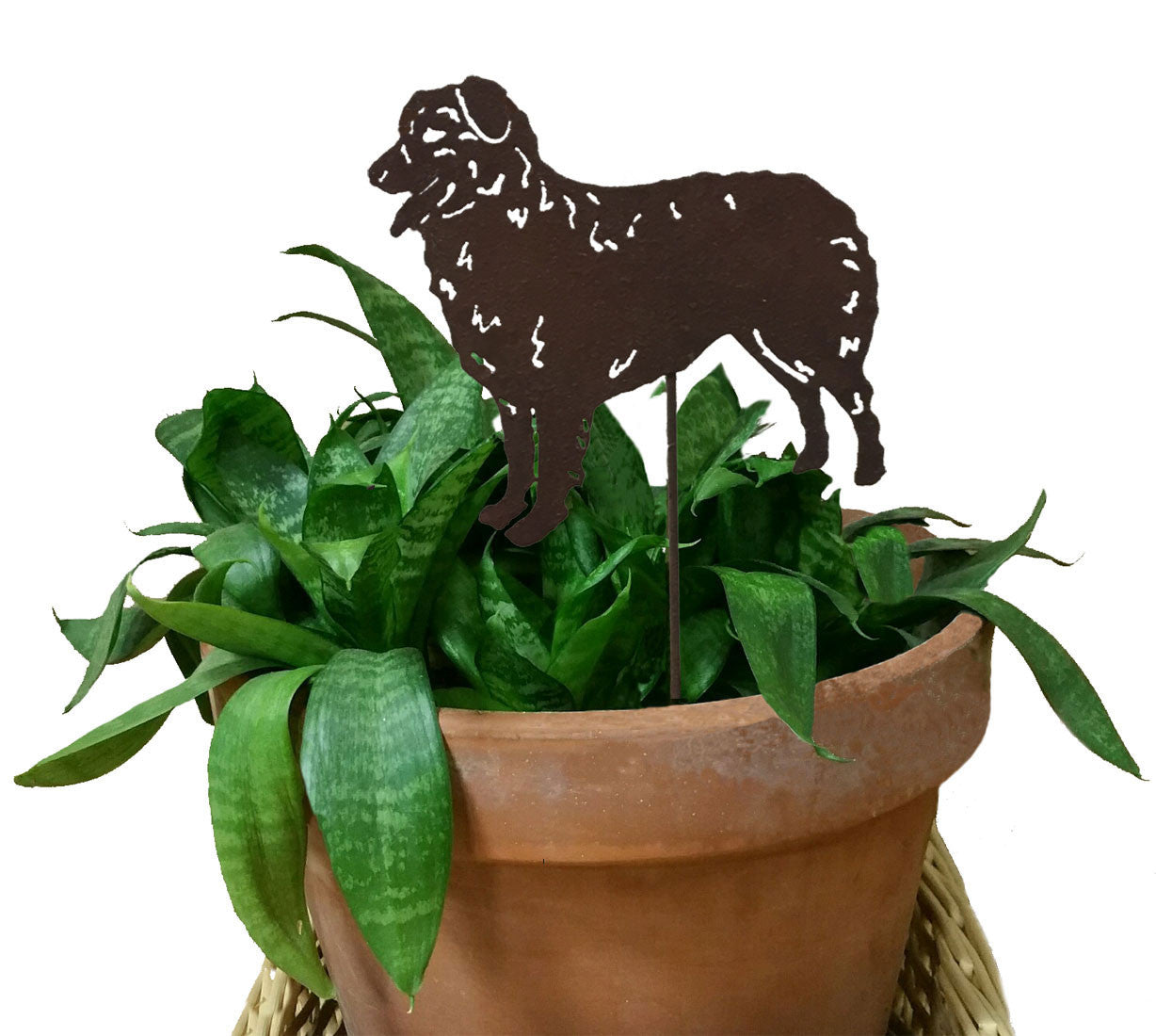 Rust-colored Australian Shepard plant stake silhouette in a pot with green foliage on Tampa Home & Garden Store