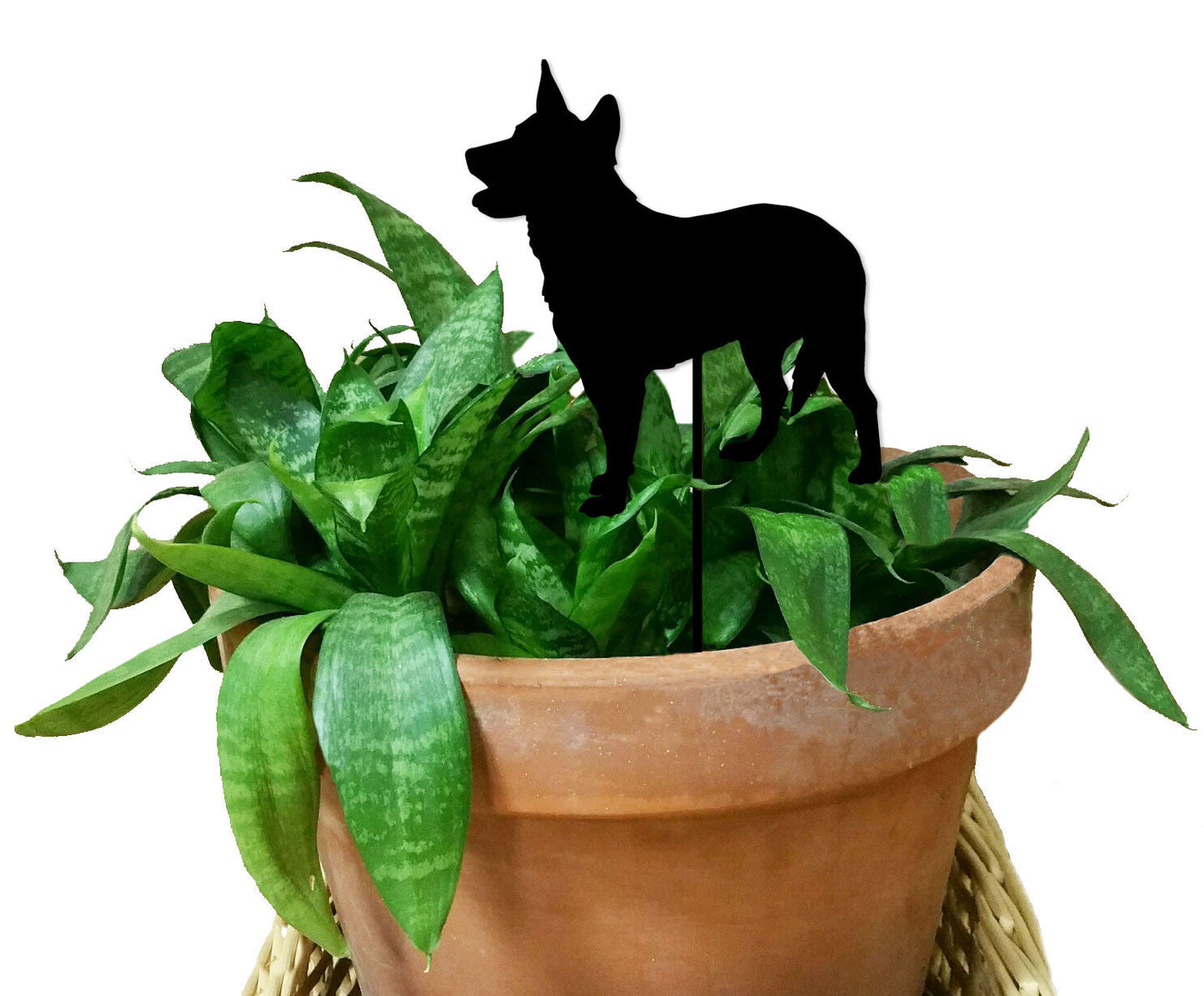 Australian Cattle Dog Plant Stake black silhouette perched in a terracotta pot with green leaves on Tampa Home & Garden Store