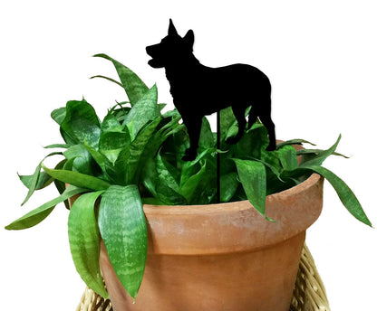 Australian Cattle Dog Plant Stake black silhouette perched in a terracotta pot with green leaves on Tampa Home & Garden Store