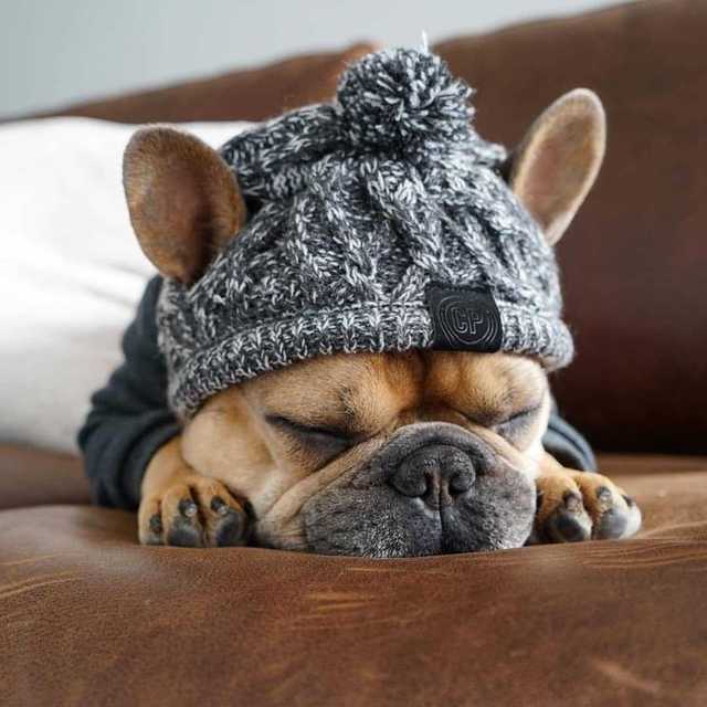 Autumn Winter Warm Knitted Pet Hats With Fluffy Ball - Tampa Home & Garden Store