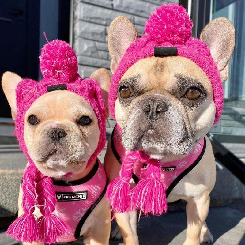 Autumn Winter Warm Knitted Pet Hats With Fluffy Ball - Tampa Home & Garden Store