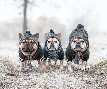 Autumn Winter Warm Knitted Pet Hats With Fluffy Ball - Tampa Home & Garden Store