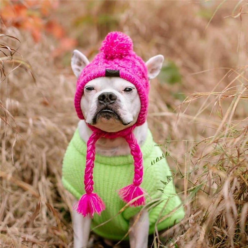 Autumn Winter Warm Knitted Pet Hats With Fluffy Ball - Tampa Home & Garden Store