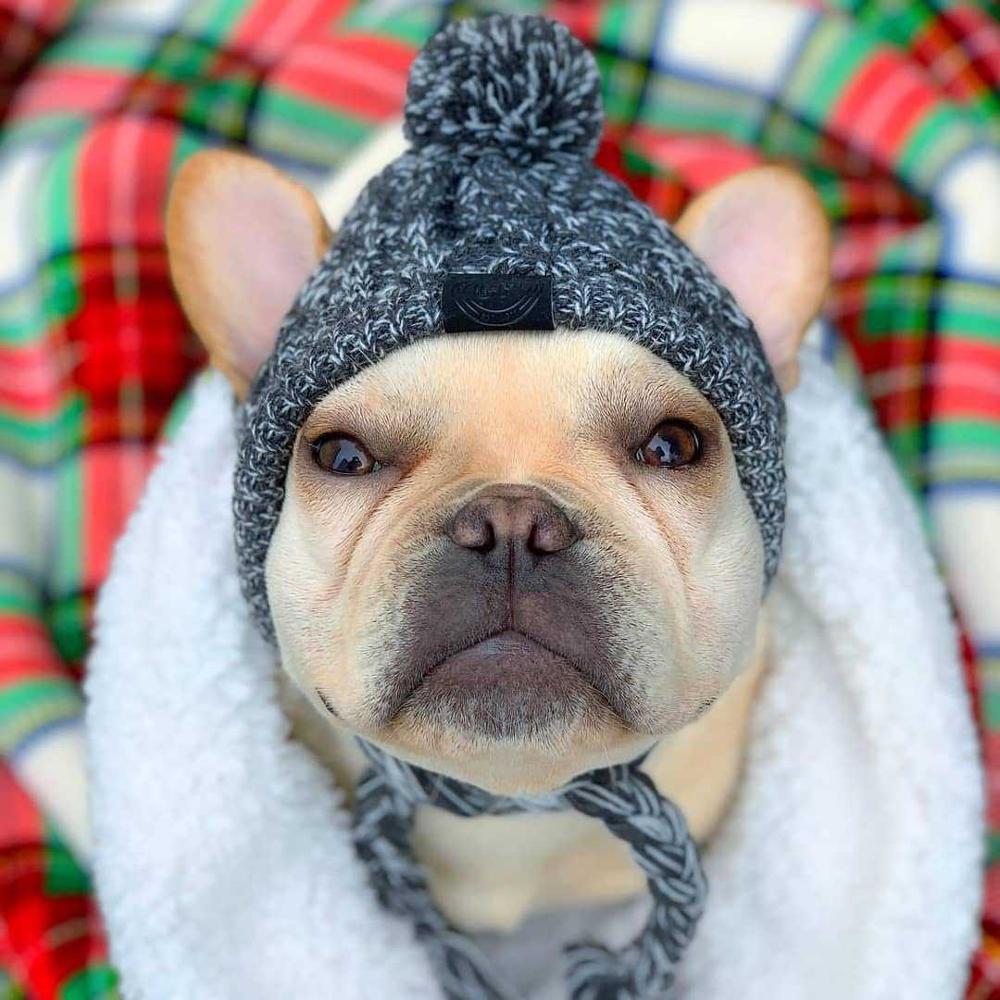 Autumn Winter Warm Knitted Pet Hats With Fluffy Ball - Tampa Home & Garden Store