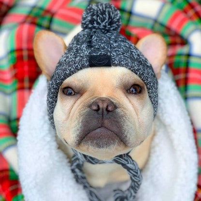 Autumn Winter Warm Knitted Pet Hats With Fluffy Ball - Tampa Home & Garden Store