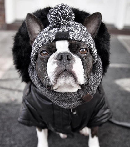 Autumn Winter Warm Knitted Pet Hats With Fluffy Ball - Tampa Home & Garden Store