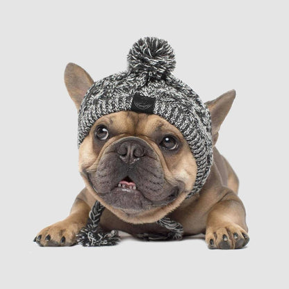 Autumn Winter Warm Knitted Pet Hats With Fluffy Ball - Tampa Home & Garden Store