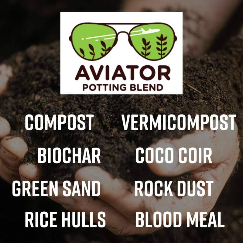 Aviator Potting Soil Blend | 10 lbs Potting Mix