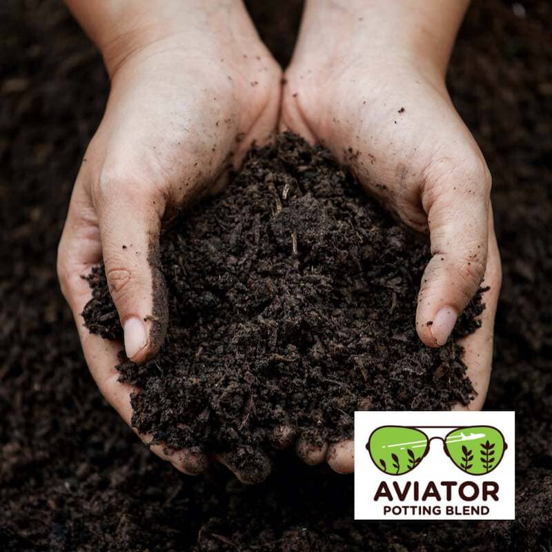 Aviator Potting Soil Blend | 10 lbs Potting Mix