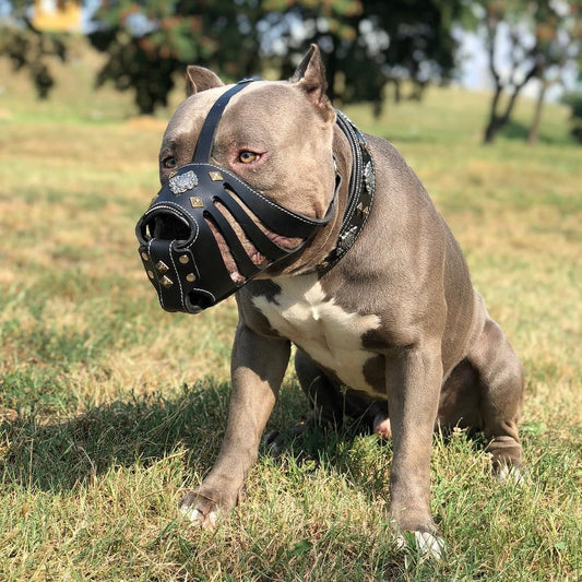 ''Aztec'' Dark Brown Basket Muzzle - Tampa Home & Garden Store