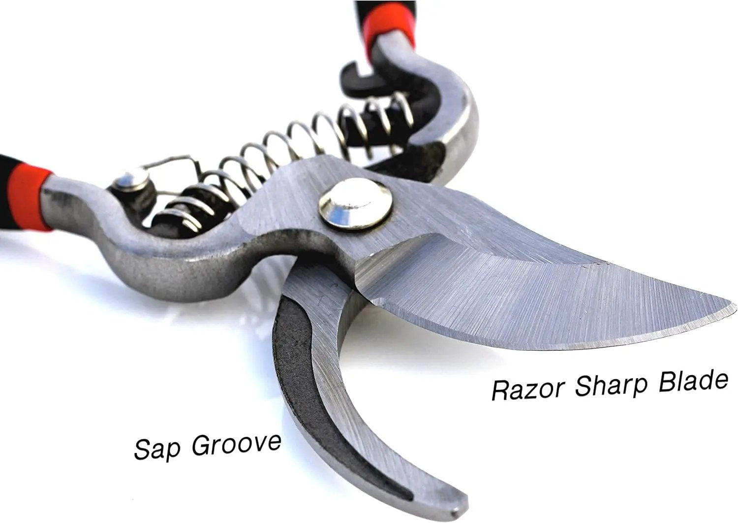 Classic Bypass Pruning Shears Garden Guru with razor sharp blade and sap groove on Tampa Home & Garden Store