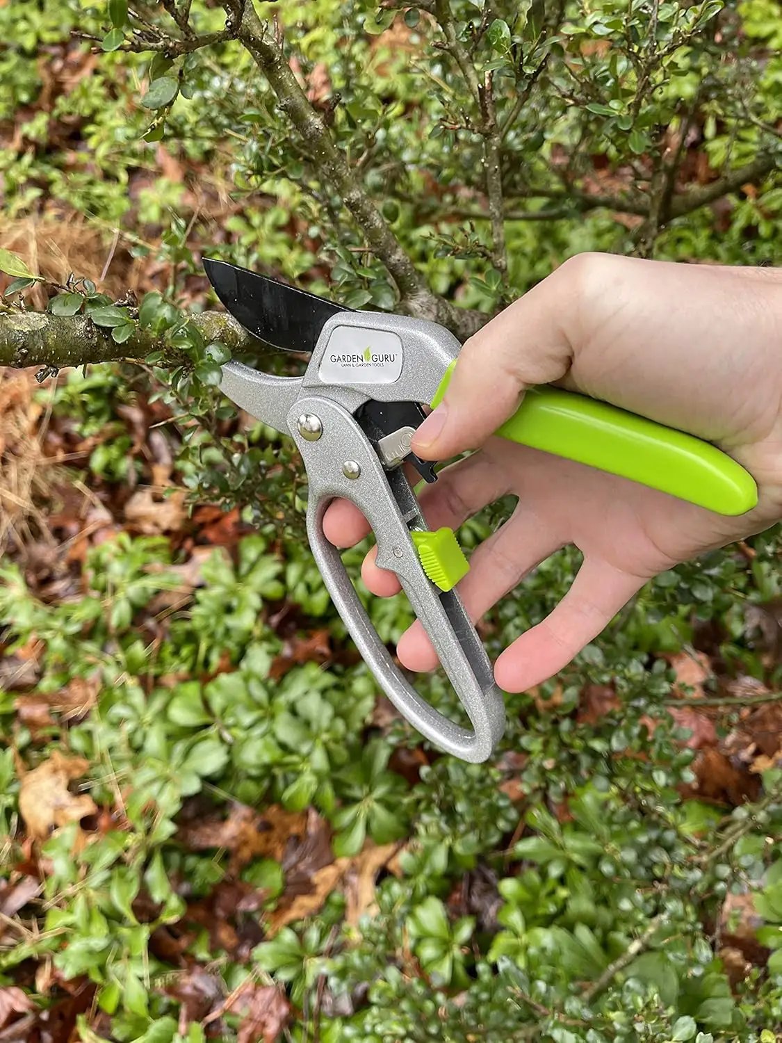Ergonomic ratchet pruning shears Garden Guru with green handle cutting shrub branches on Tampa Home & Garden Store