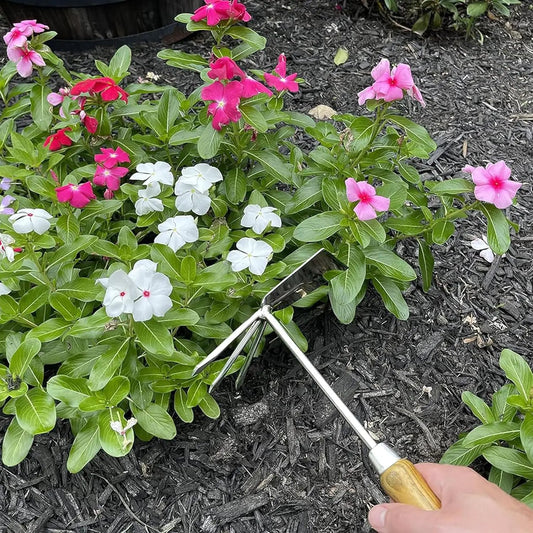 Stainless steel cultivator hoe with wood handle held over pink and white vinca flowers in mulch on Tampa Home & Garden Store