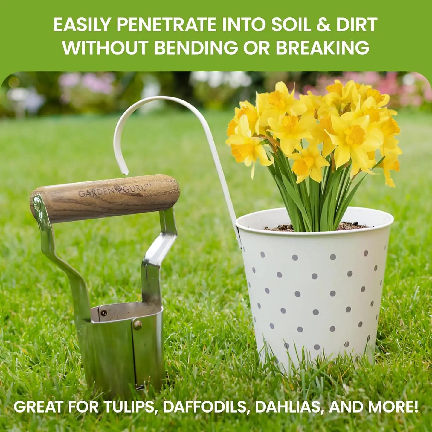 Stainless bulb planter by Garden Guru with wooden handle beside polka-dot pot of yellow daffodils on Tampa Home & Garden Store