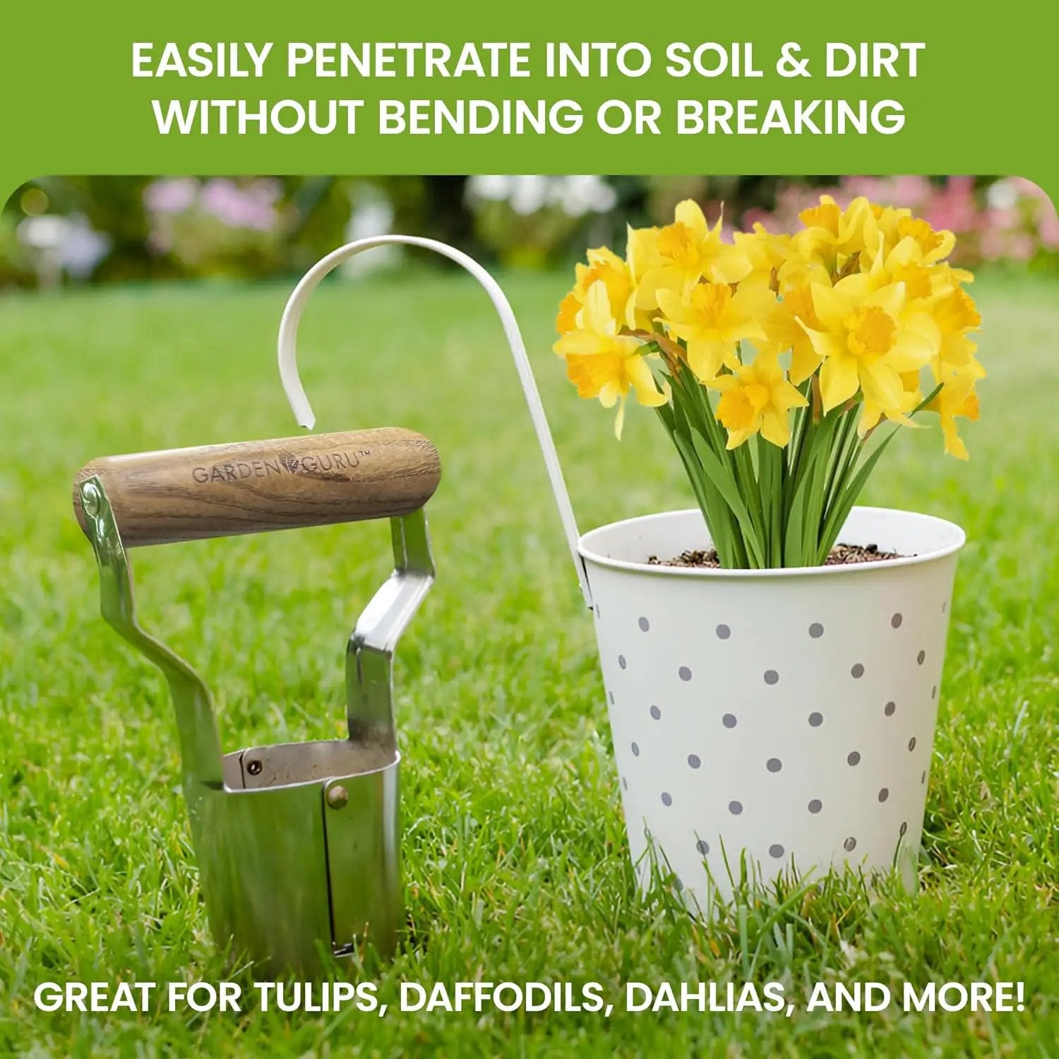 Stainless bulb planter by Garden Guru with wooden handle beside polka-dot pot of yellow daffodils on Tampa Home & Garden Store