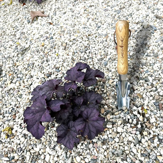 Stainless steel 5 in 1 weeder trowel with wooden Garden Guru handle and hanging strap on gravel on Tampa Home & Garden Store