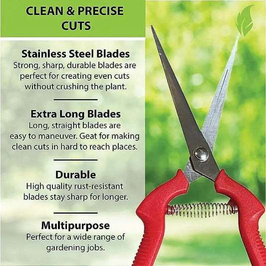 Garden Pruning Snips and Clippers Straight pruners Garden Guru red handles steel blades on Tampa Home & Garden Store