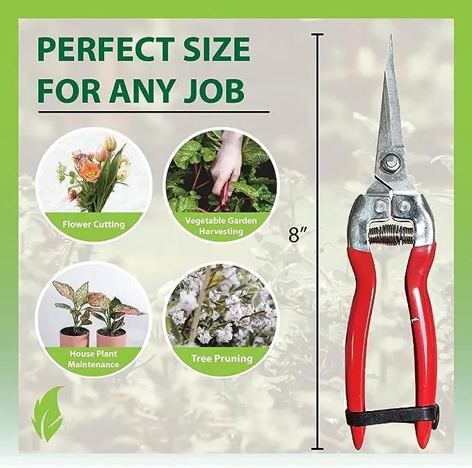 Garden Guru pruning snips and straight blade clippers with red handles 8in on Tampa Home & Garden Store