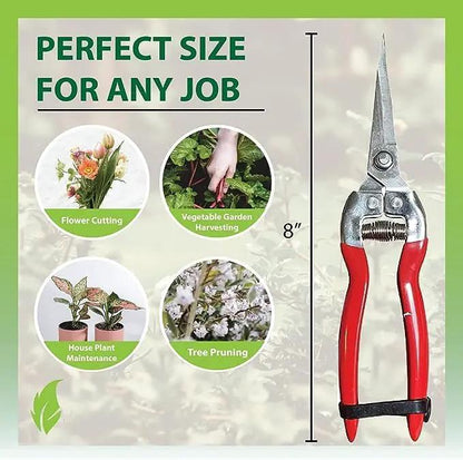 Garden Guru pruning snips and straight blade clippers with red handles 8in on Tampa Home & Garden Store