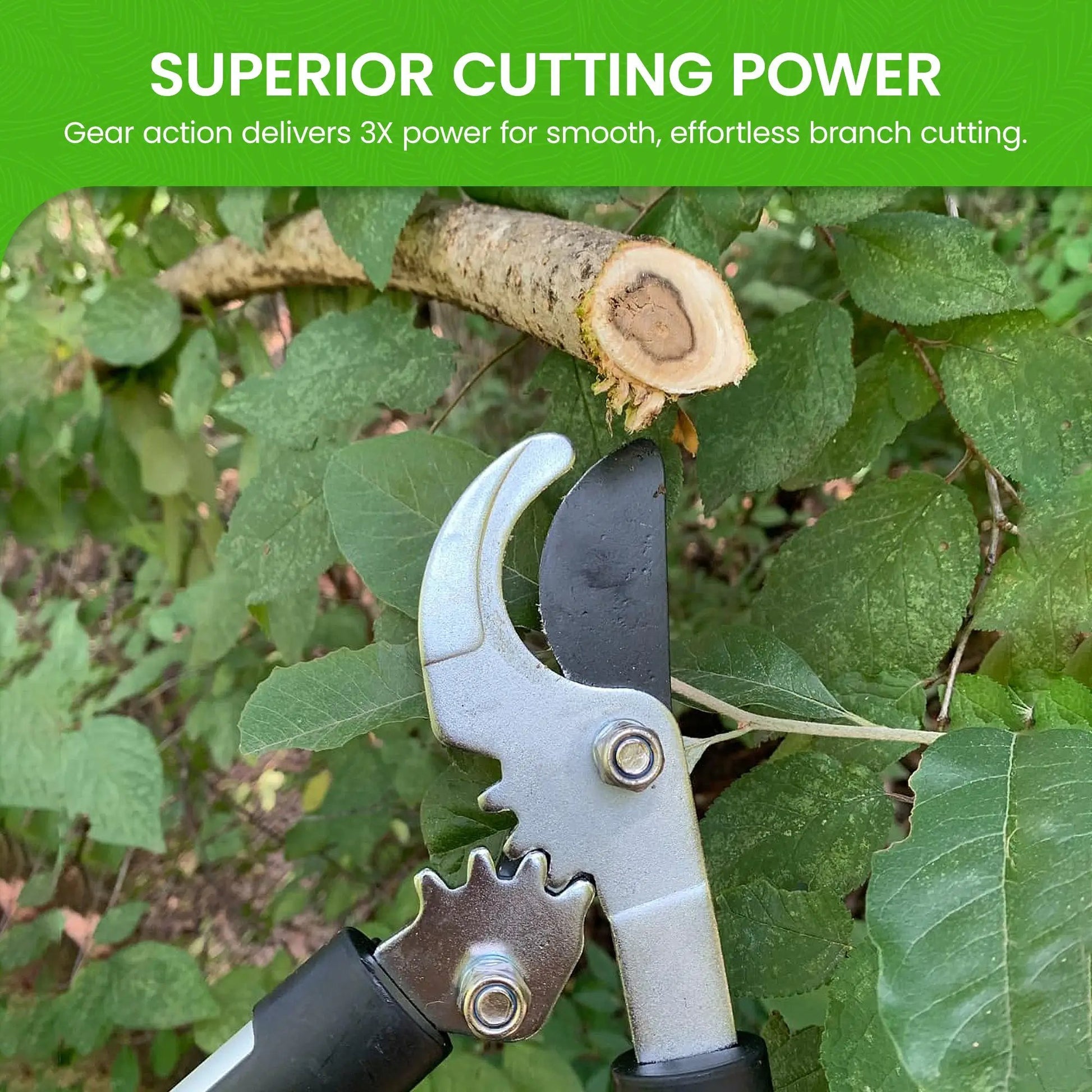 Power bypass gardening loppers with gray steel blade and black grip pruning a branch on Tampa Home & Garden Store