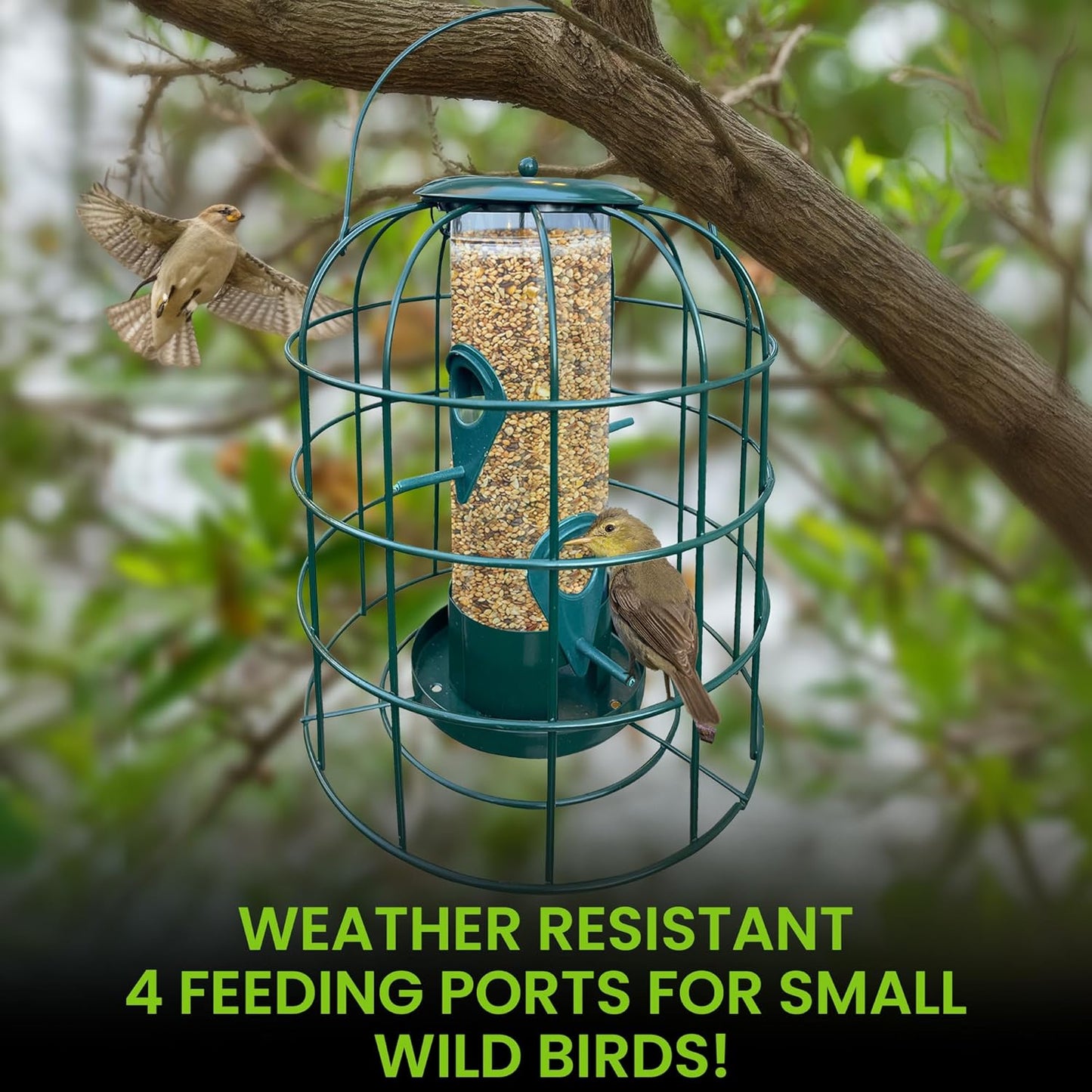 Squirrel Proof Tube Bird Feeder with 4 Perches