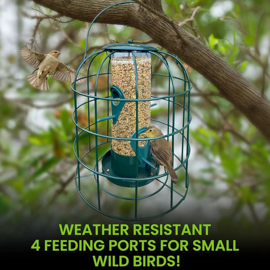 Squirrel Proof Tube Bird Feeder with 4 Perches in teal metal, weather resistant on Tampa Home & Garden Store