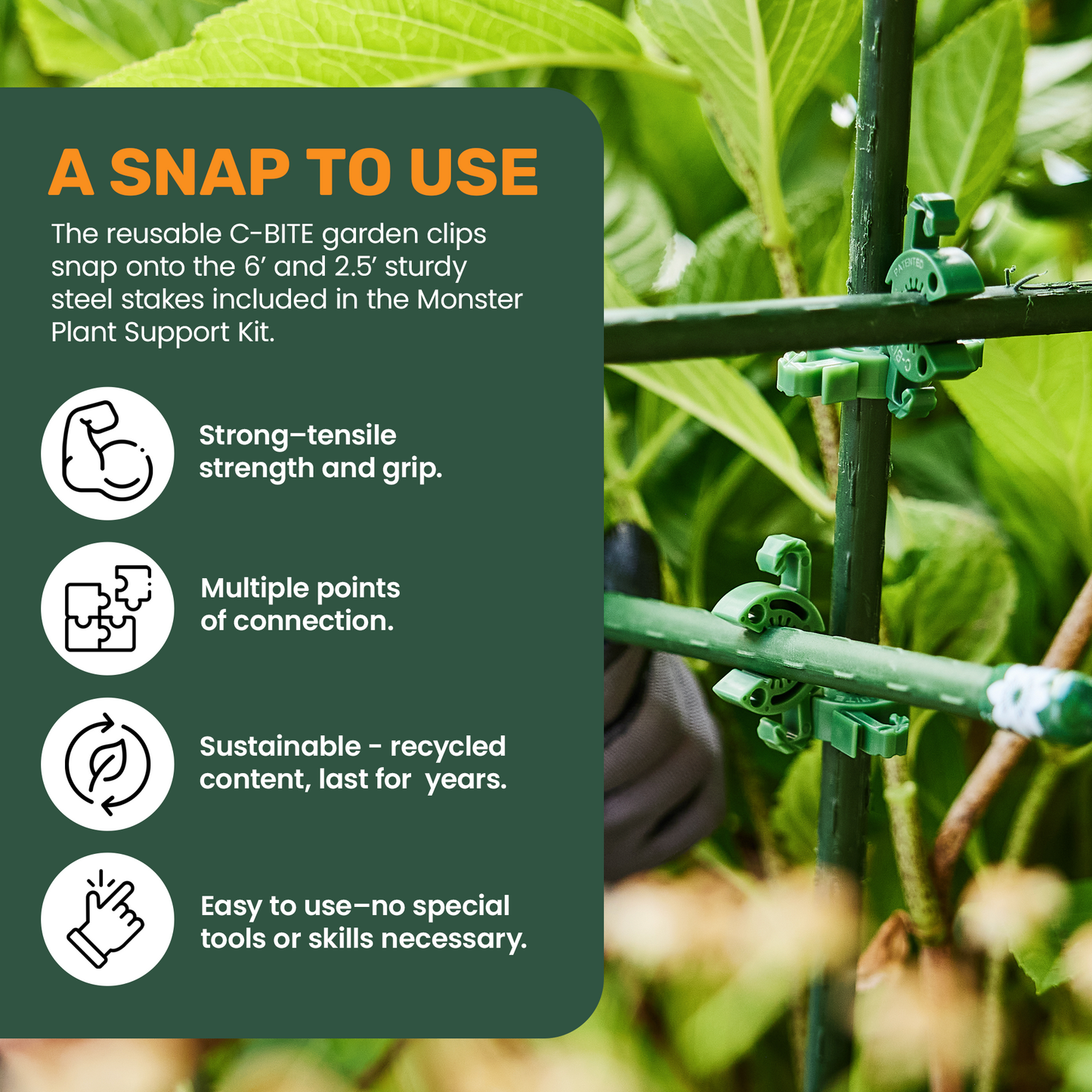 5' or 6' Monster Plant Support!  Custom Trellis & Tomato Cage Kit - The All Purpose Heavy Lifter