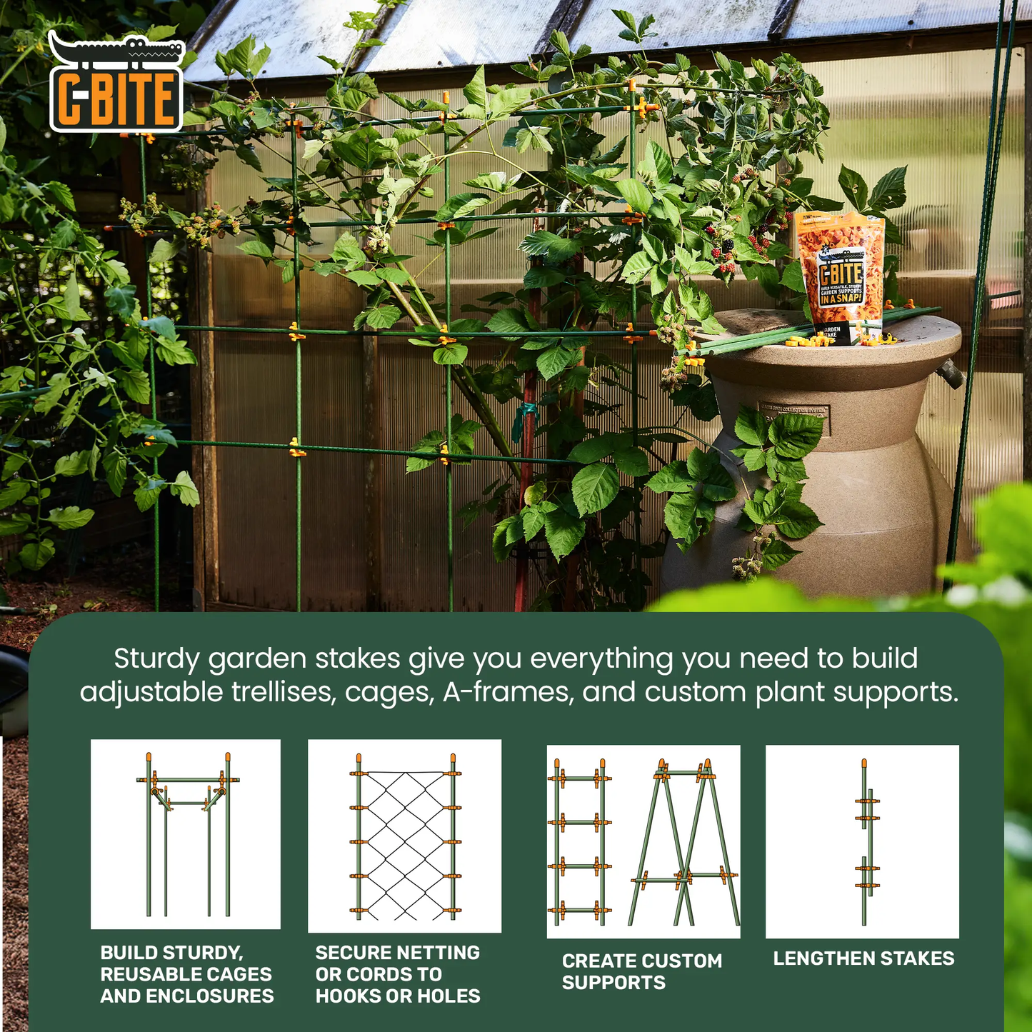 - image on Tampa Home & Garden Store