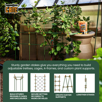 - image on Tampa Home & Garden Store