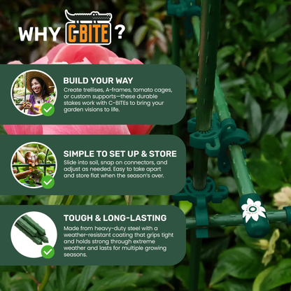 - image on Tampa Home & Garden Store