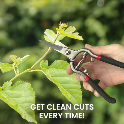 Classic Straight Blade Garden Bypass Pruners - Tampa Home & Garden Store