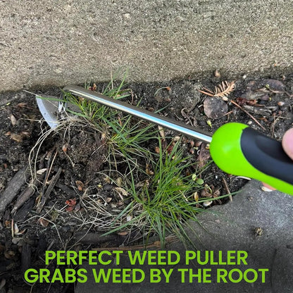 Garden Guru Root Weeder Tool with ergonomic green handle and metal shaft pulling weed from soil on Tampa Home & Garden Store