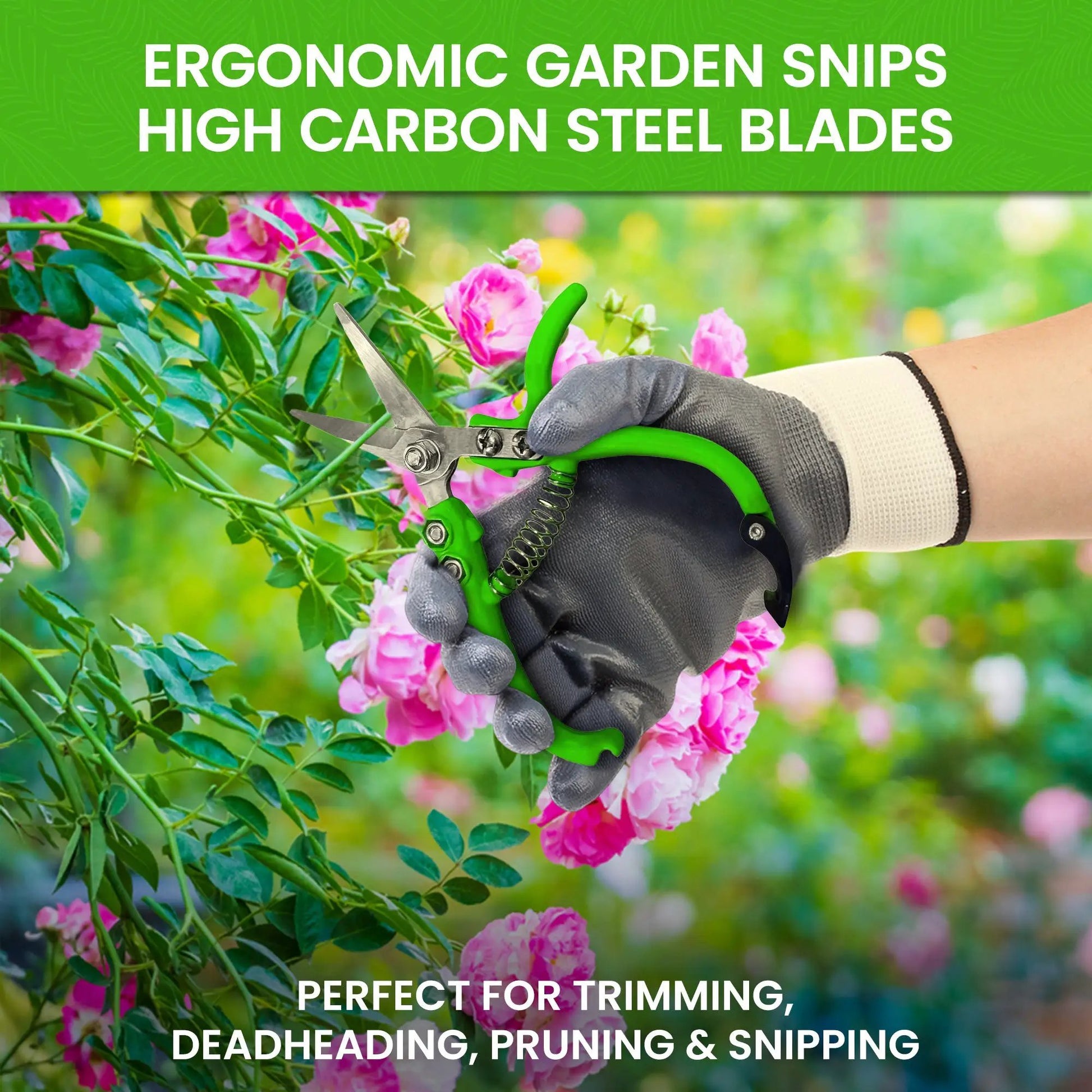 Ergonomic pruning shears Garden Guru with carbon steel blades trimming pink roses on Tampa Home & Garden Store