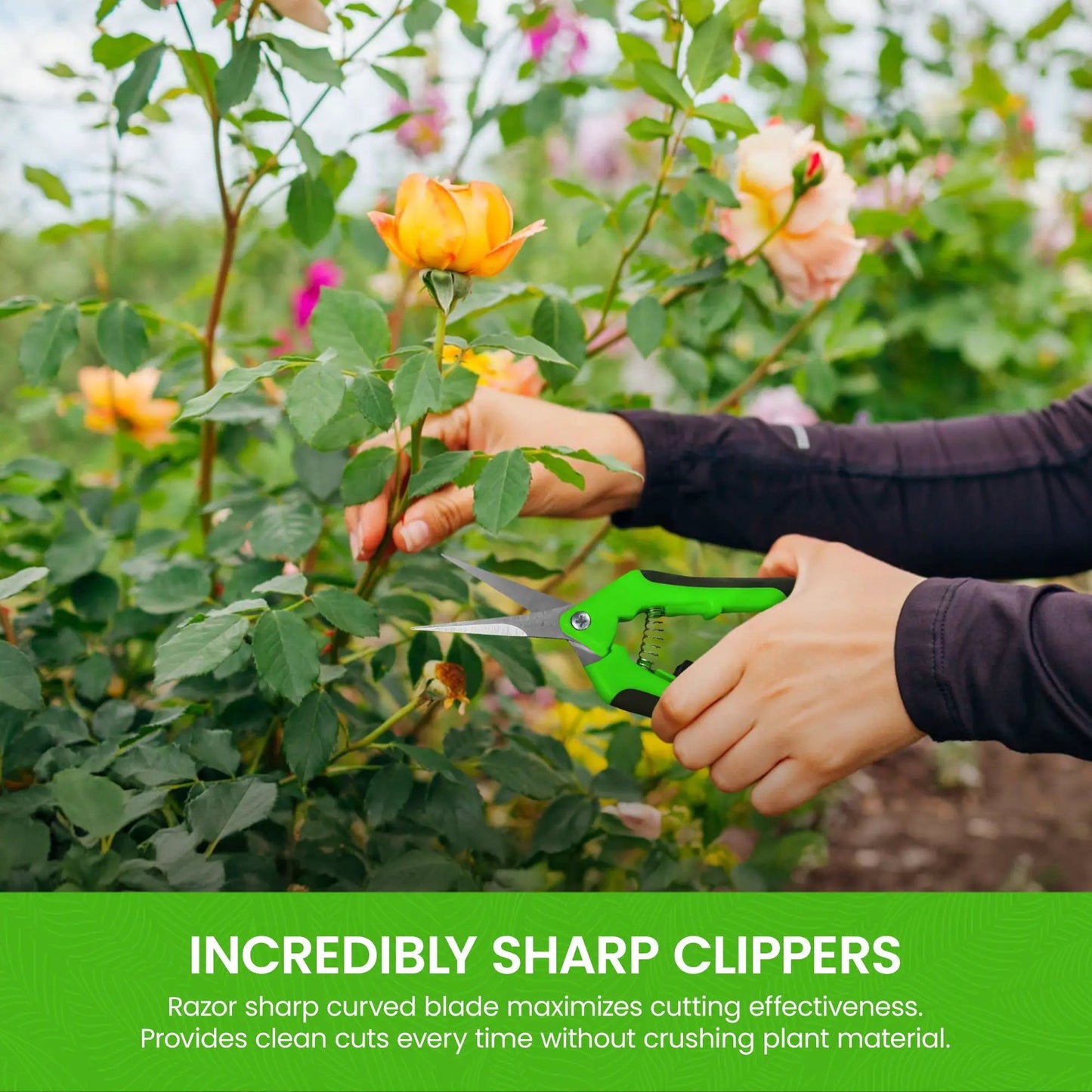 Garden Guru Garden Micro Snips pruners with bright green handle trimming rose stems on Tampa Home & Garden Store
