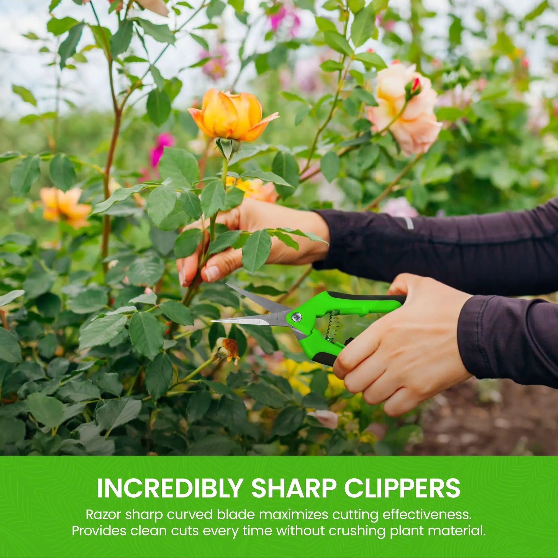 Garden Guru Garden Micro Snips pruners with bright green handle trimming rose stems on Tampa Home & Garden Store