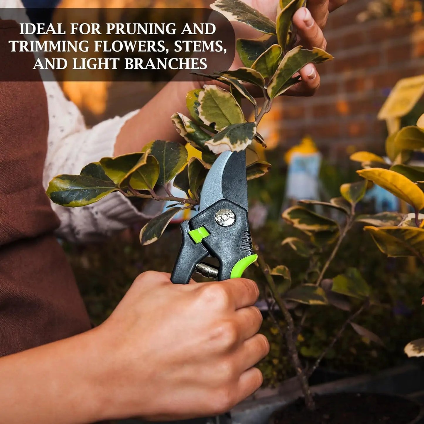 Garden Bypass Pruner Elite with Comfort Grip by Garden Guru; blue handle with green accents on Tampa Home & Garden Store