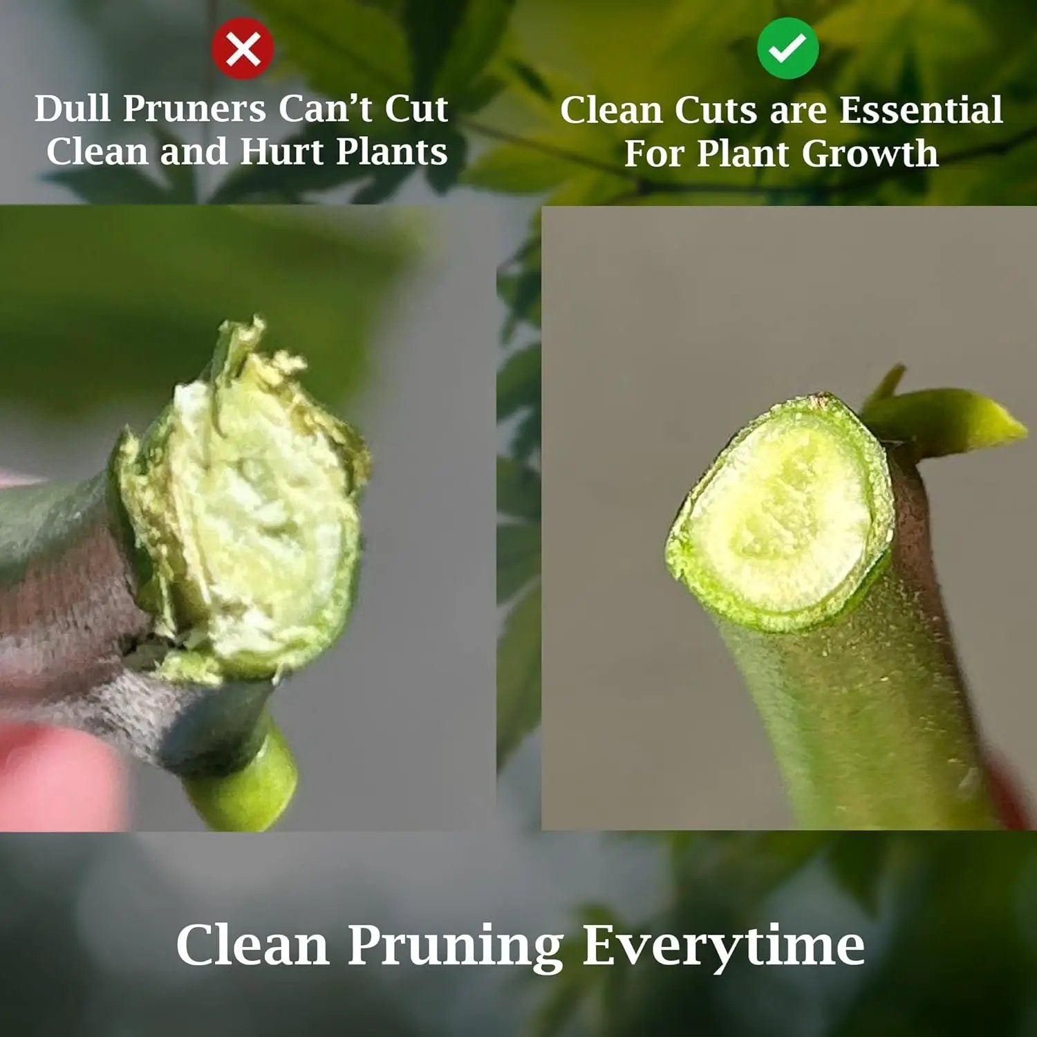Garden Guru Garden Bypass Pruner Elite with Comfort Grip shows two stems with dull cut vs clean cut on Tampa Home & Garden Store