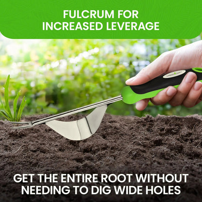 Stainless steel Garden Dandelion Weeder with green/black Garden Guru handle on Tampa Home & Garden Store