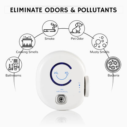 B50 Mini Ozone Generator - Tampa Home & Garden Store