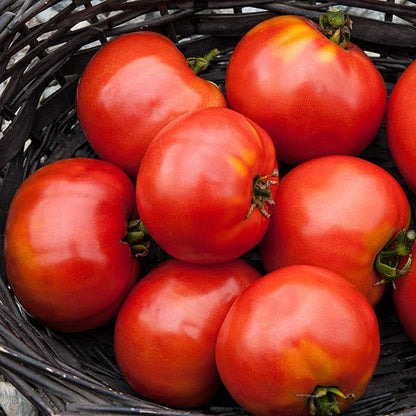 Moskvich tomato ripe red tomatoes in a wicker basket on Tampa Home & Garden Store