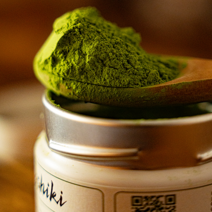 Yabukita matcha powder in a wooden scoop atop a metal tin, isshiki matcha premium tea on Tampa Home & Garden Store